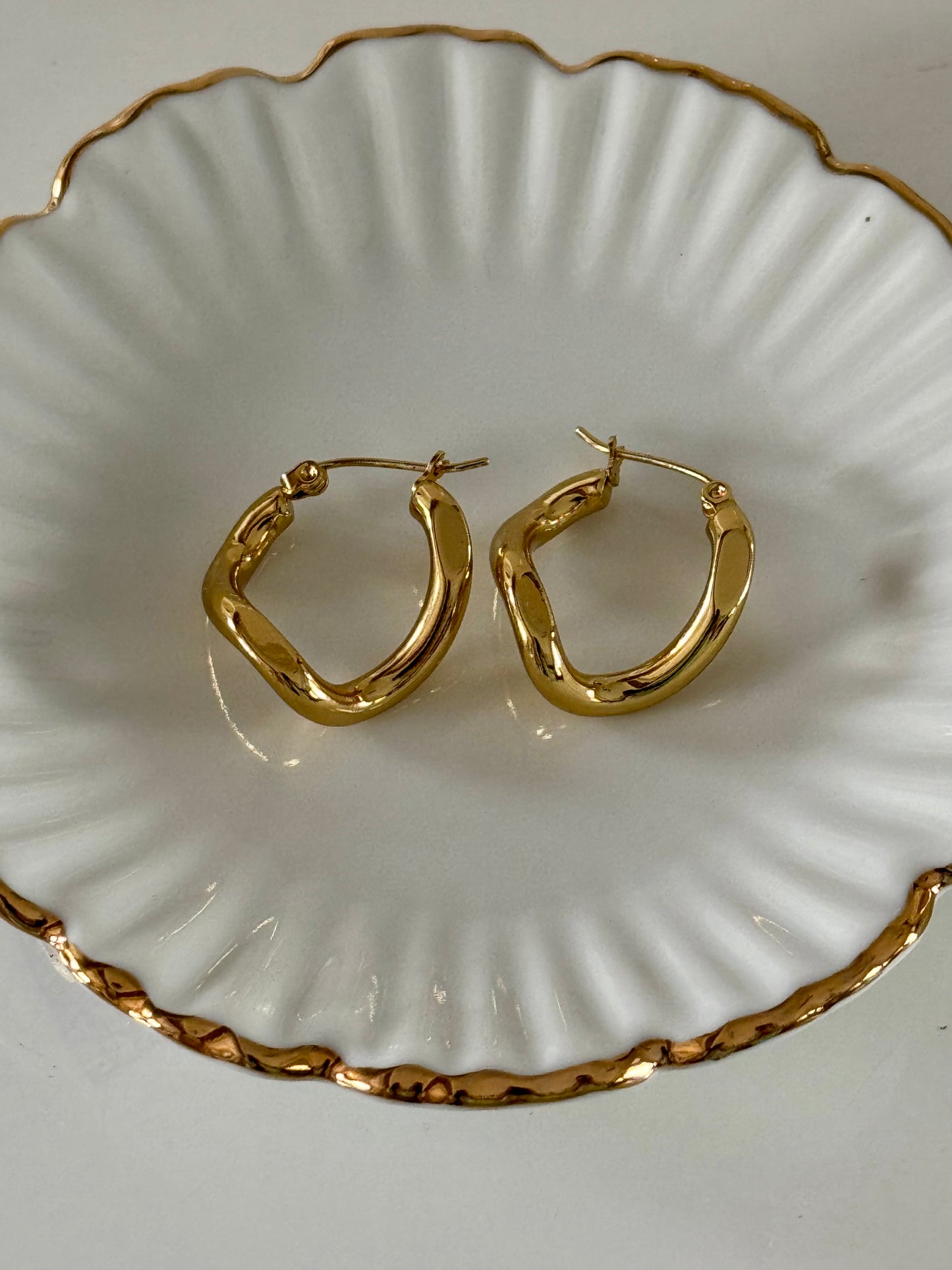 Bri Hoops