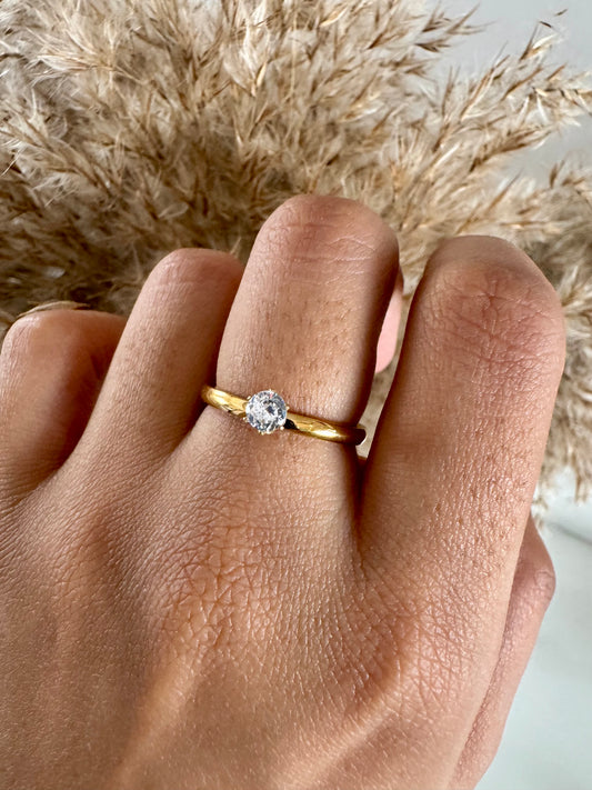 Noa Ring